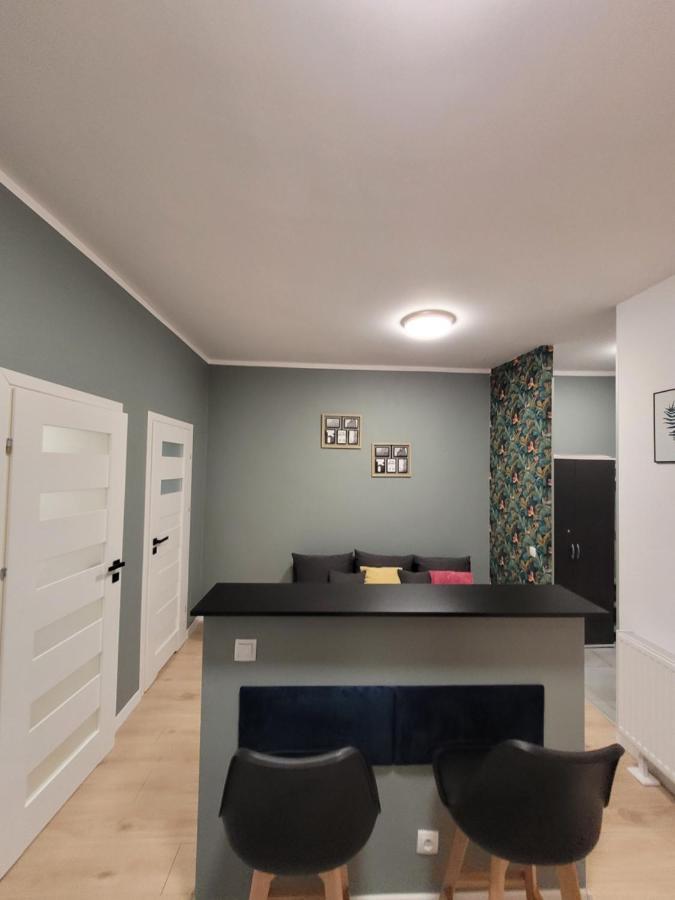 Apartamenty Cieplicka 20 Єленя-Ґура Екстер'єр фото